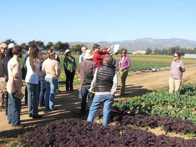 Field with students in Salinas Valley California