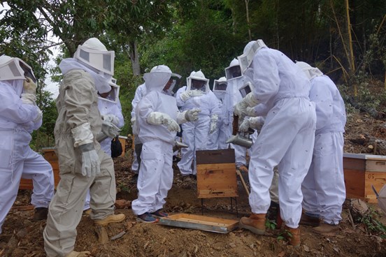 Field training for Apiculture
